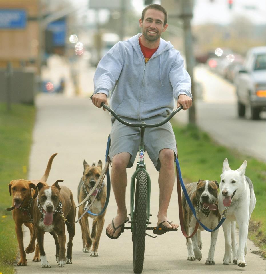 Sidewalk hogs
